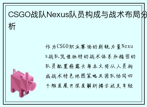 CSGO战队Nexus队员构成与战术布局分析