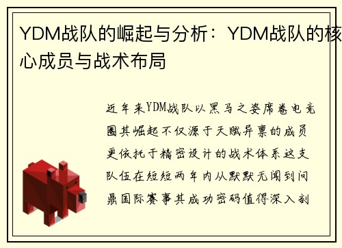 YDM战队的崛起与分析：YDM战队的核心成员与战术布局